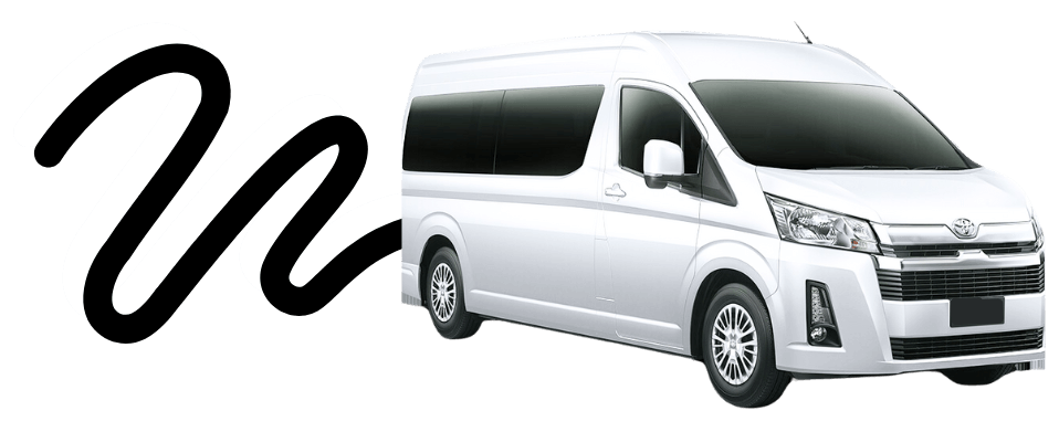 MEX Transportation Company